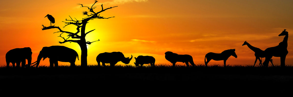 panoramic-3-piece-acrylic-print-safari-animals-at-sunset-panorama