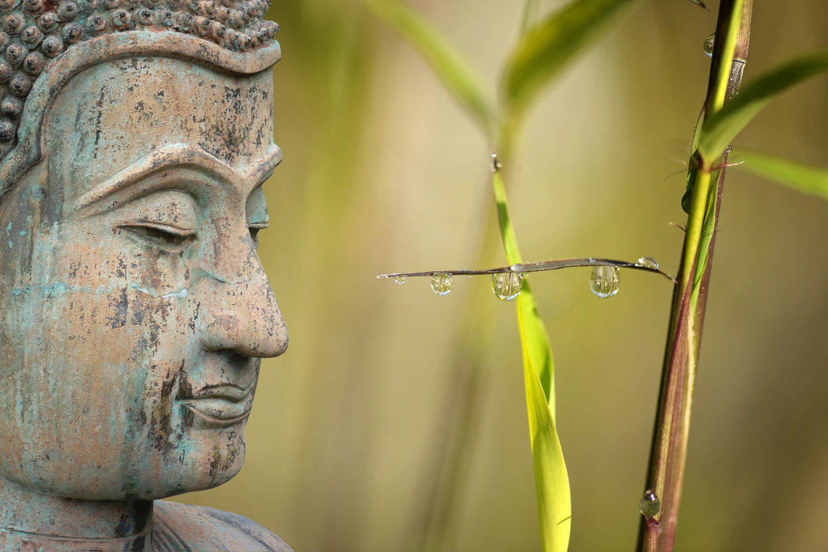 framedcanvas-print-xl-buddha-head