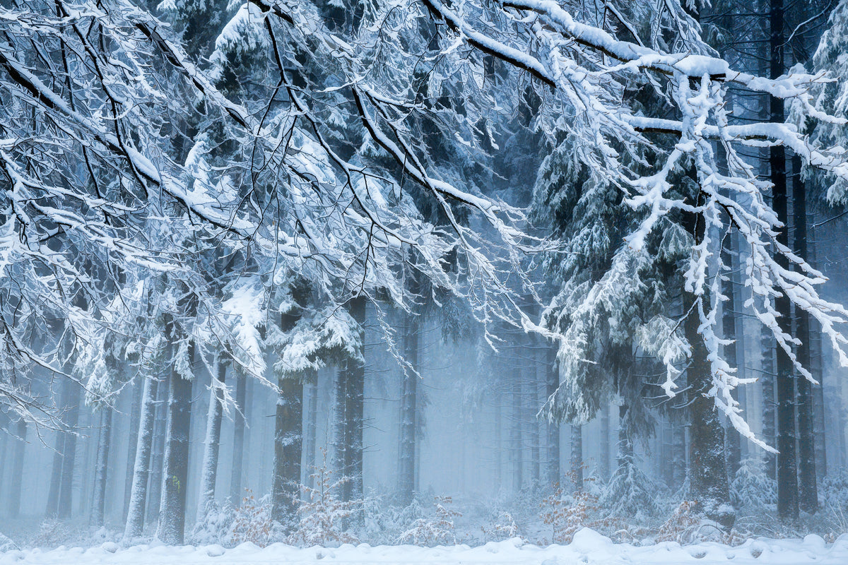 framedcanvas-print-snowworld-x