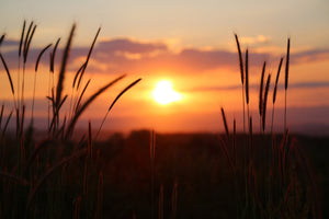 acrylic-print-adorable-sunset