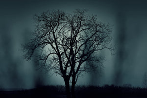 framedposter-print-the-tree-in-darkness