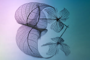 3-piece-canvas-print-story-of-leaf-and-flower