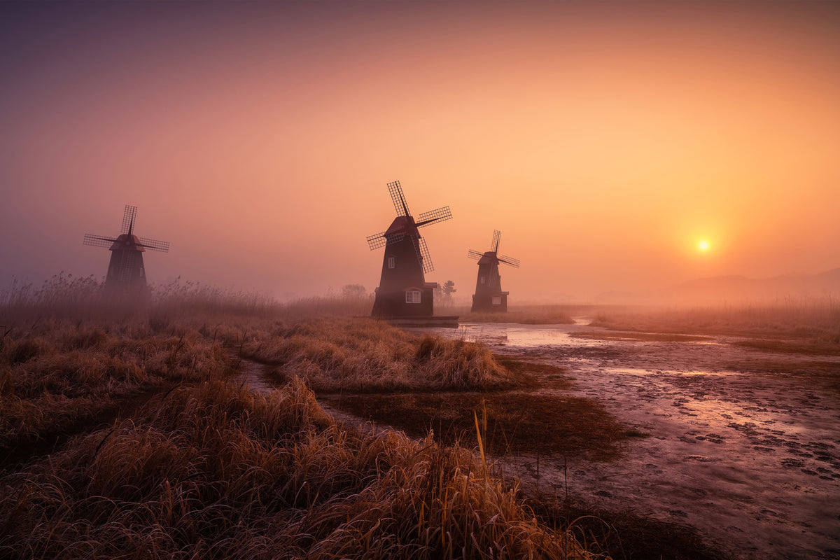 poster-print-foggy-morning-xji