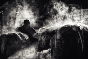 3-piece-aluminium-print-farm-life