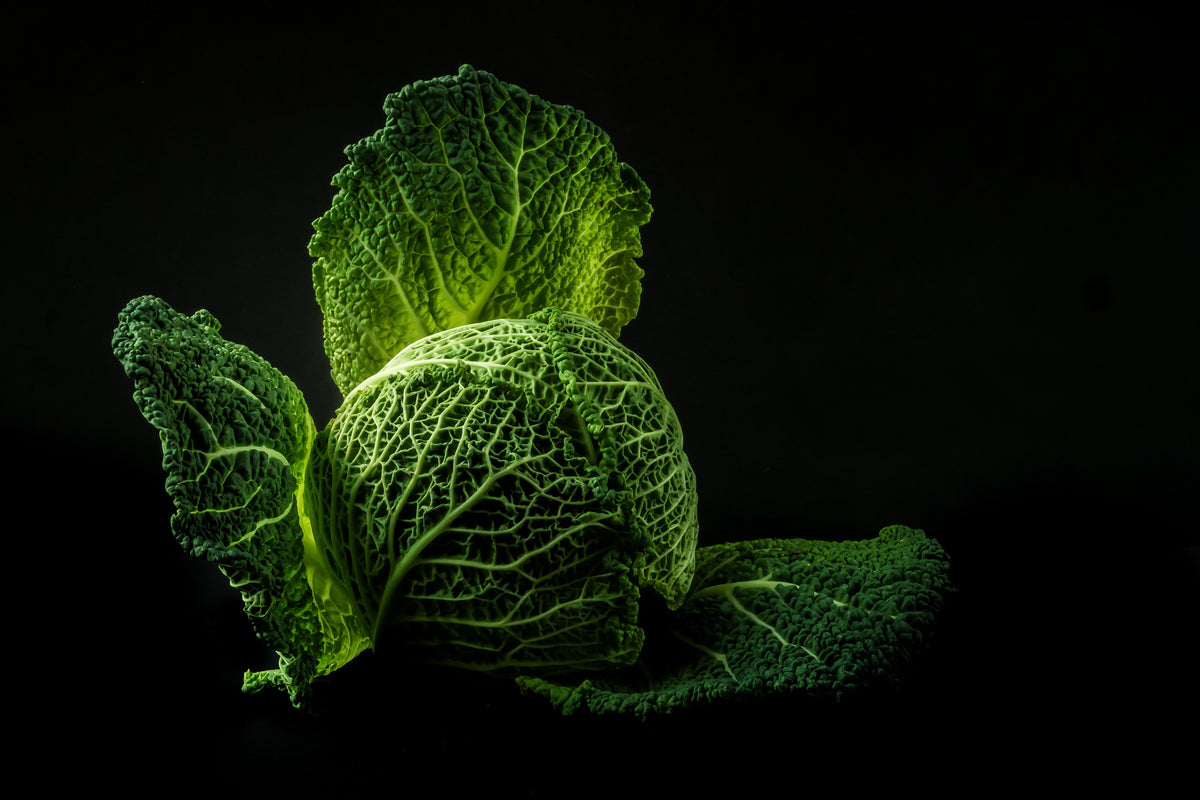 poster-print-the-cabbage