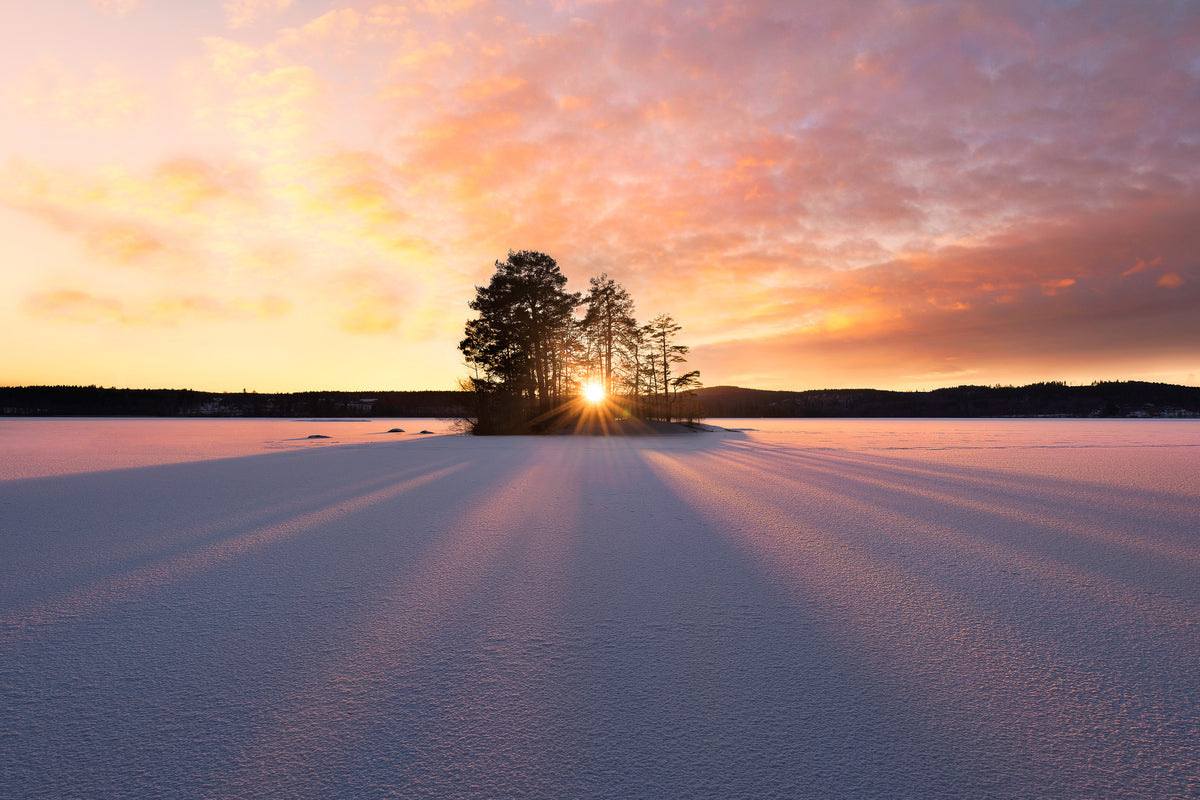 acrylic-print-sun-kissed