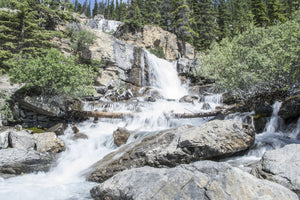 acrylic-print-wild-waterfall-in-the-forest