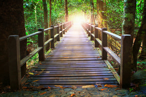 canvas-print-the-bridge-in-the-forest