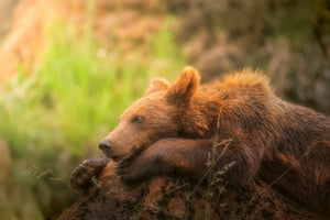framedcanvas-print-top-model-x