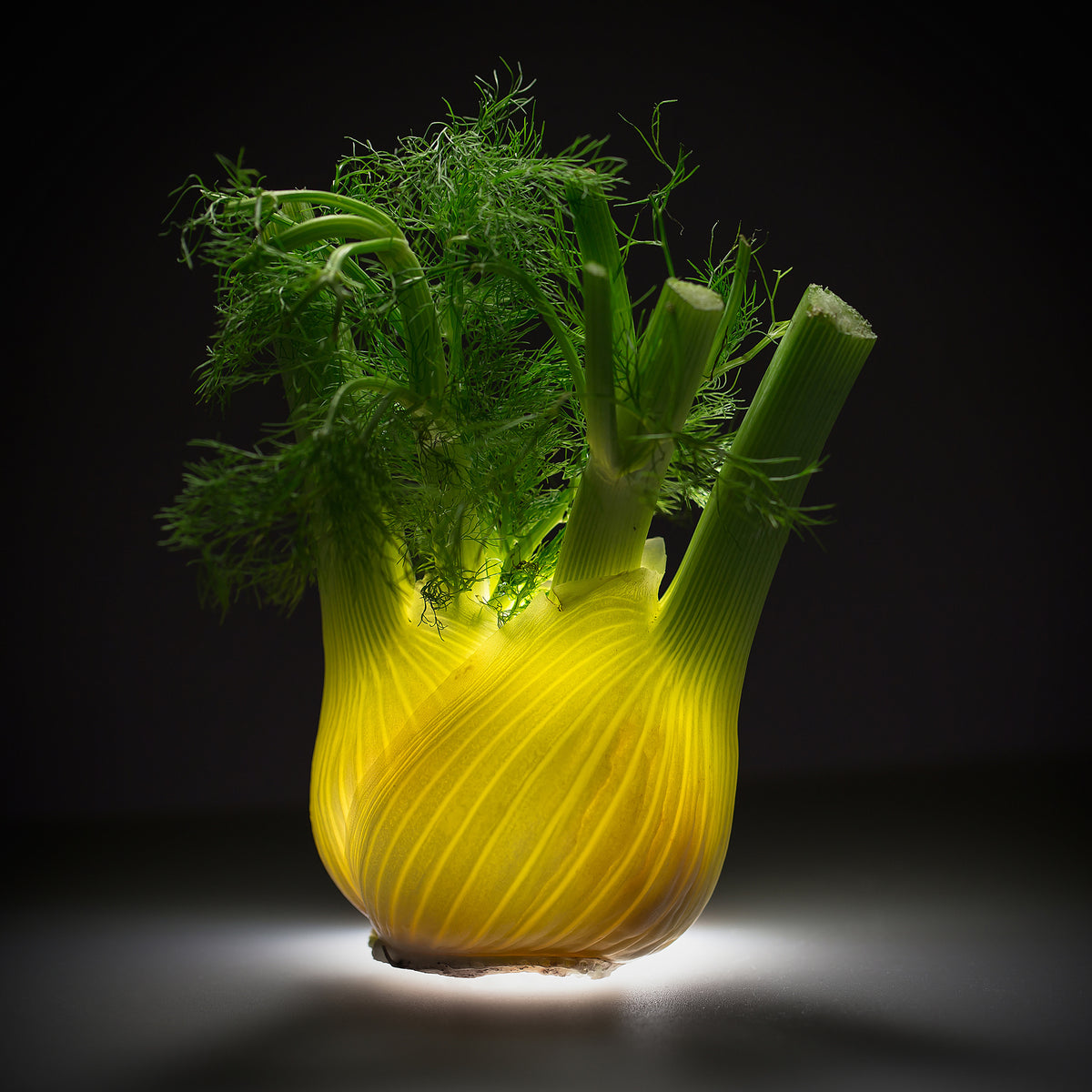 4-piece-acrylic-print-fennel