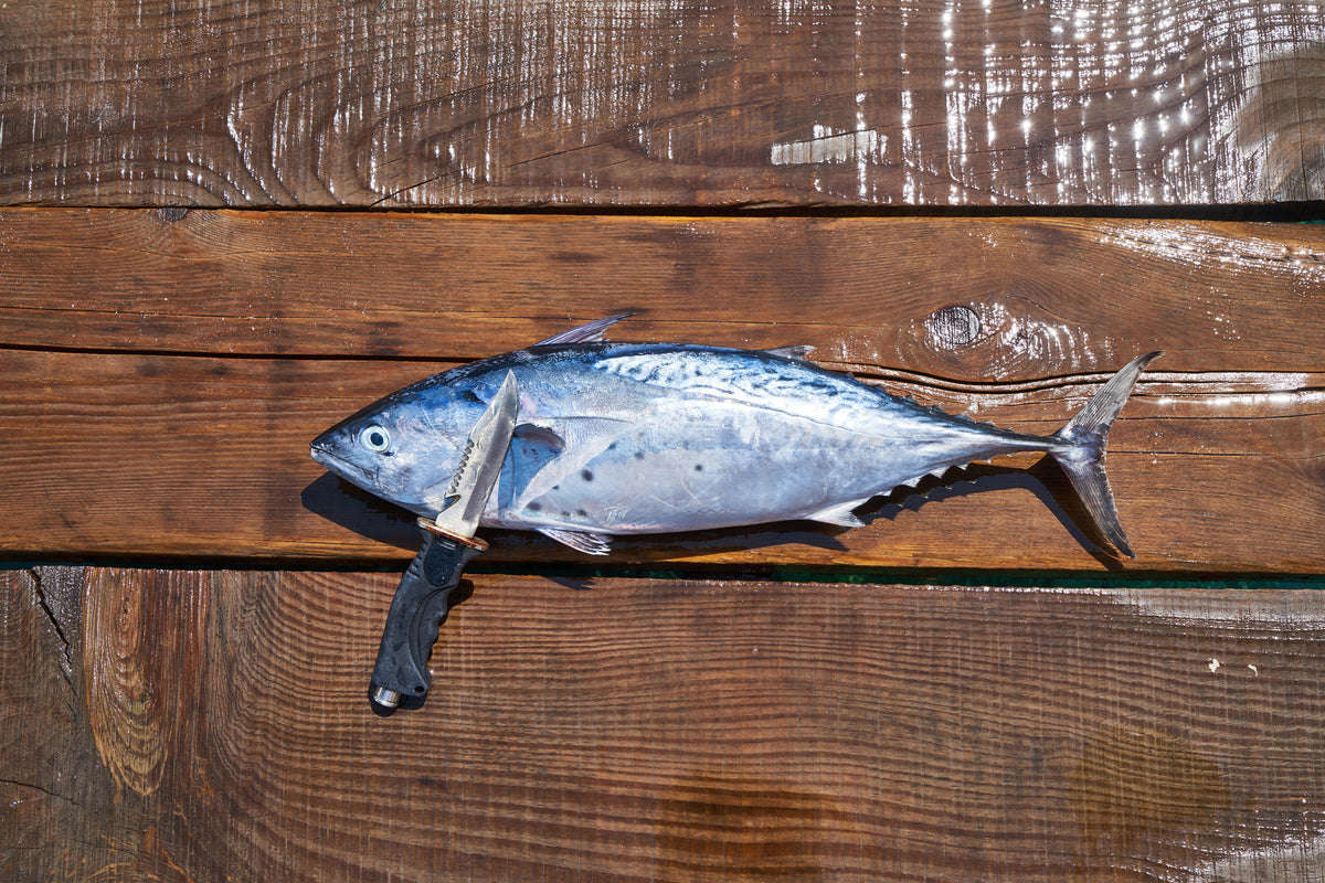 3-piece-aluminium-print-the-fresh-fish