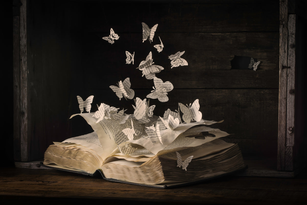 modern-3-piece-aluminium-print-lepidopterology