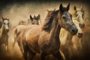 3-piece-canvas-print-painting-wild-horses