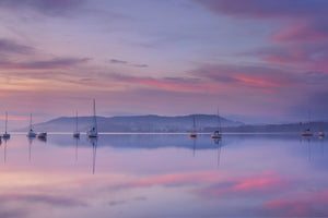 aluminium-print-morning-mood-ii