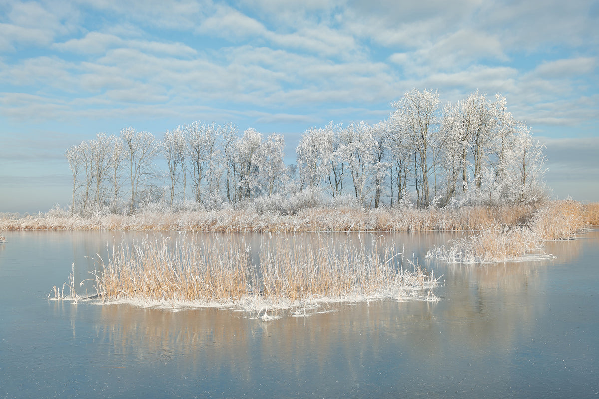 aluminium-print-winter-xfq