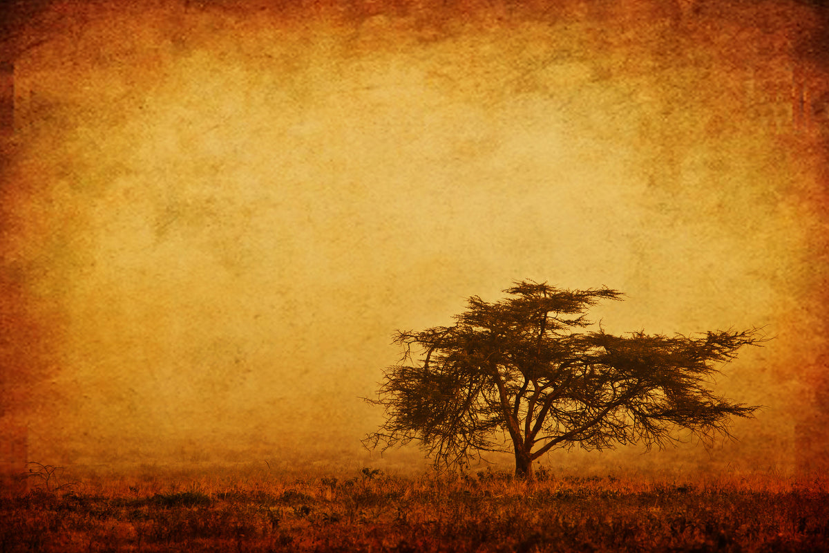 3-piece-canvas-print-sunset-mood