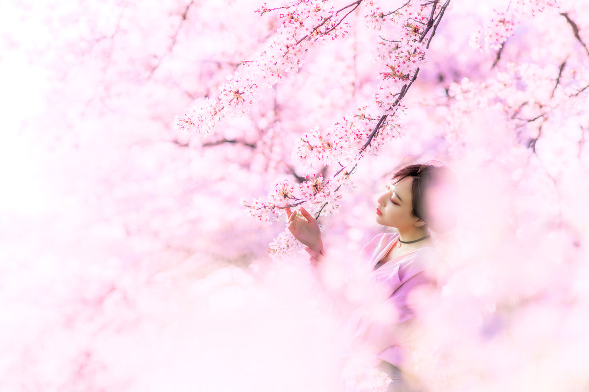 framedcanvas-print-sakura