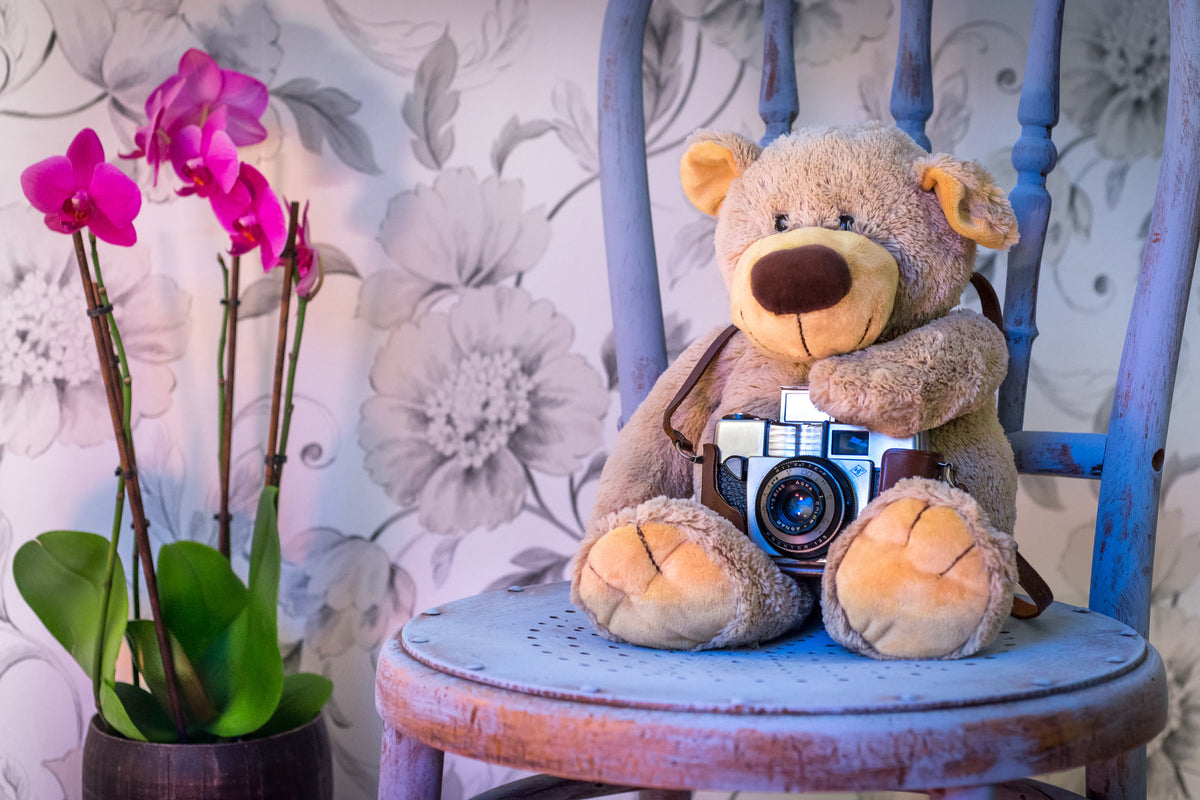 aluminium-print-camera-teddy-bear