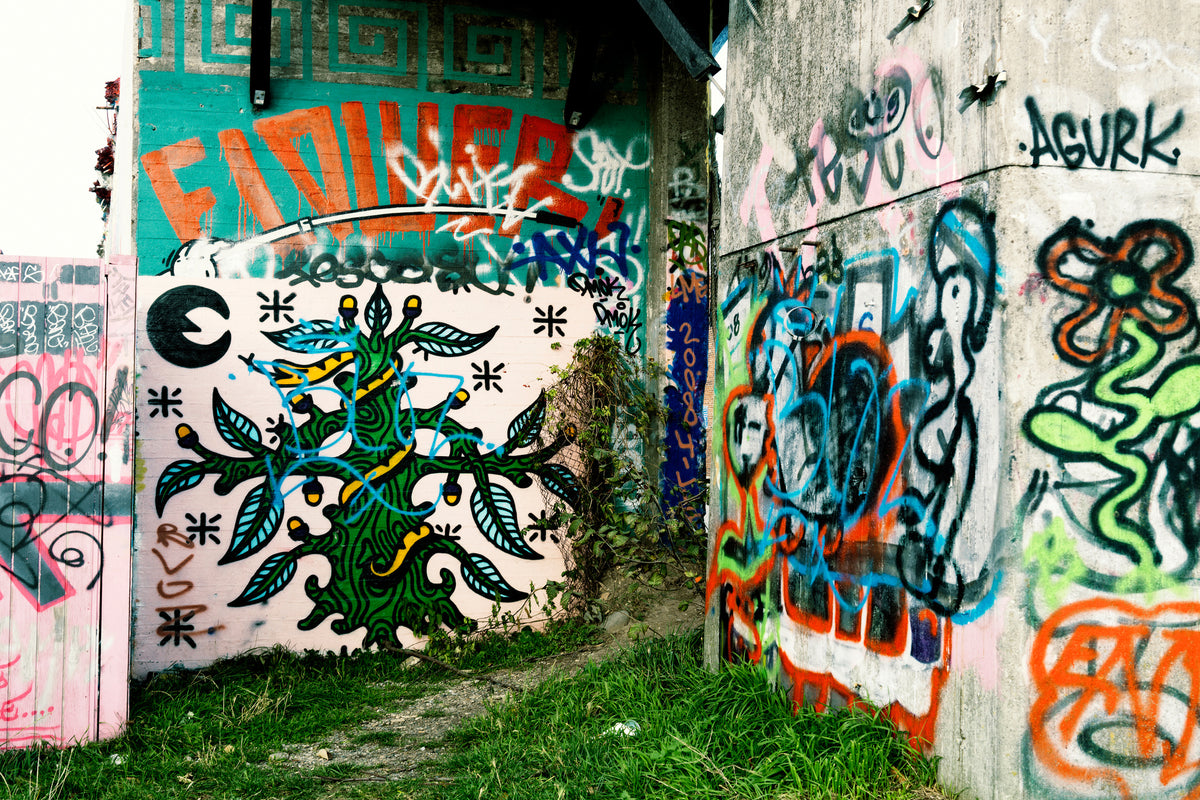 modern-3-piece-canvas-print-graffiti-in-the-backyard
