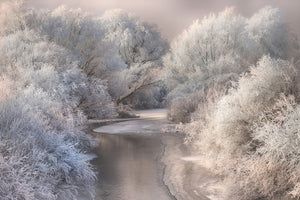 aluminium-print-winter-song-x