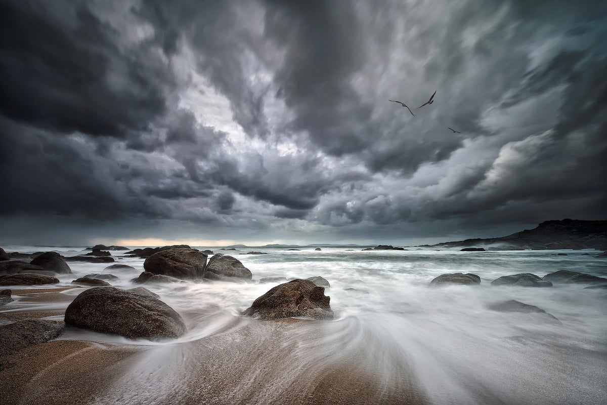 framedcanvas-print-flight-over-troubled-waters