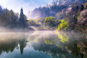 canvas-print-morning-calm
