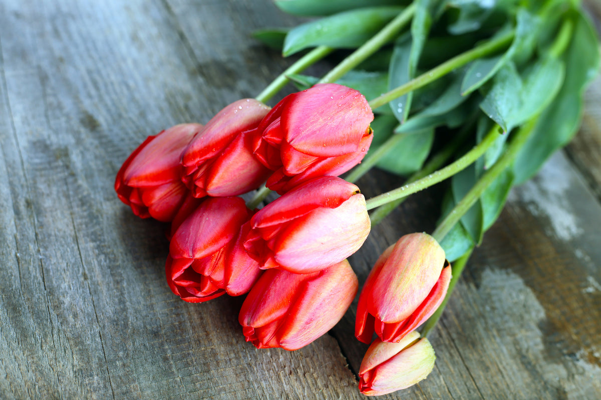 modern-3-piece-canvas-print-the-red-tulip-bouquet