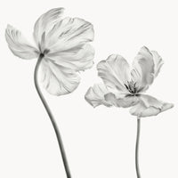 4-piece-acrylic-print-same-tulip-front-and-backview