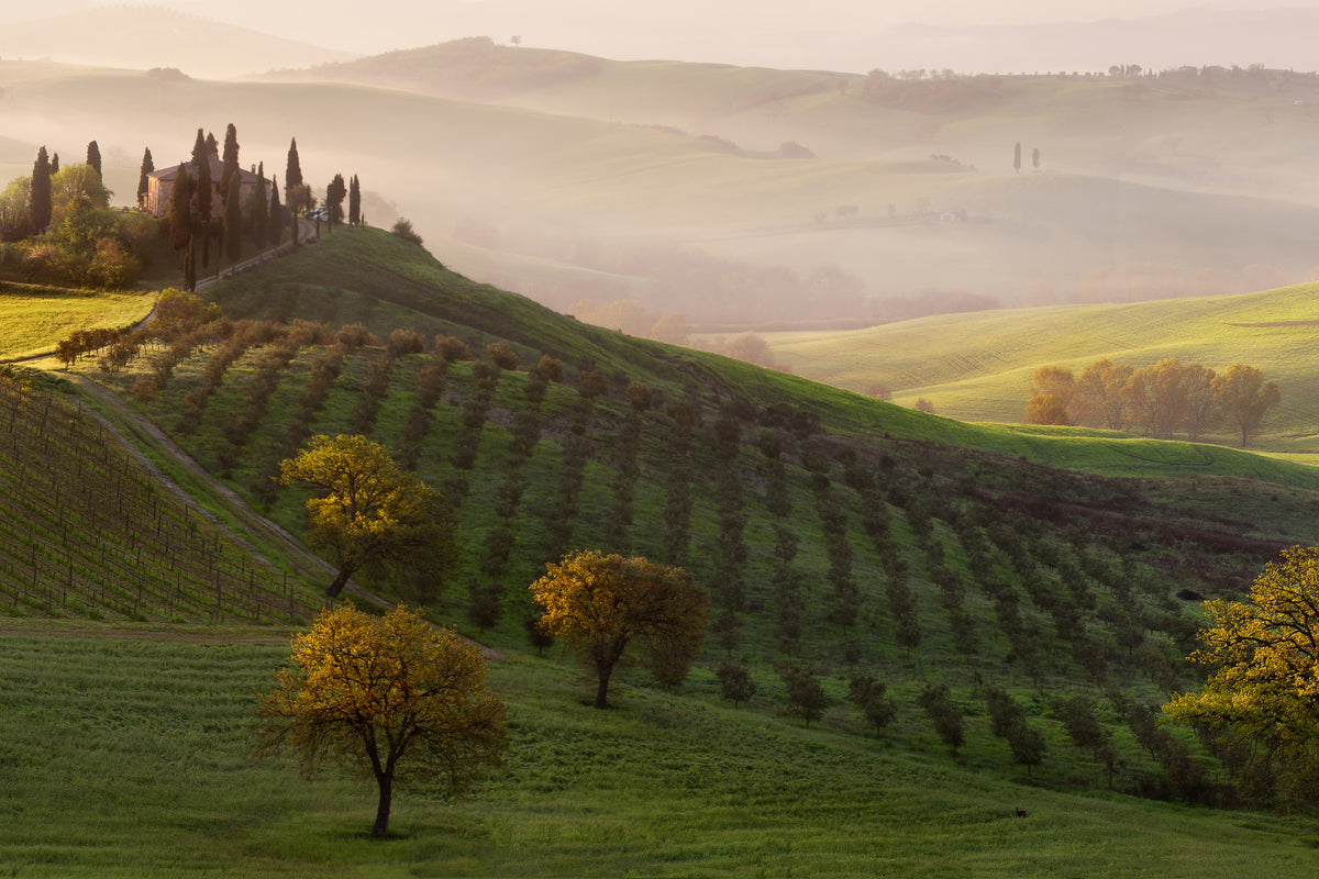 canvas-print-tutte-le-strade-portano-a-belvedere