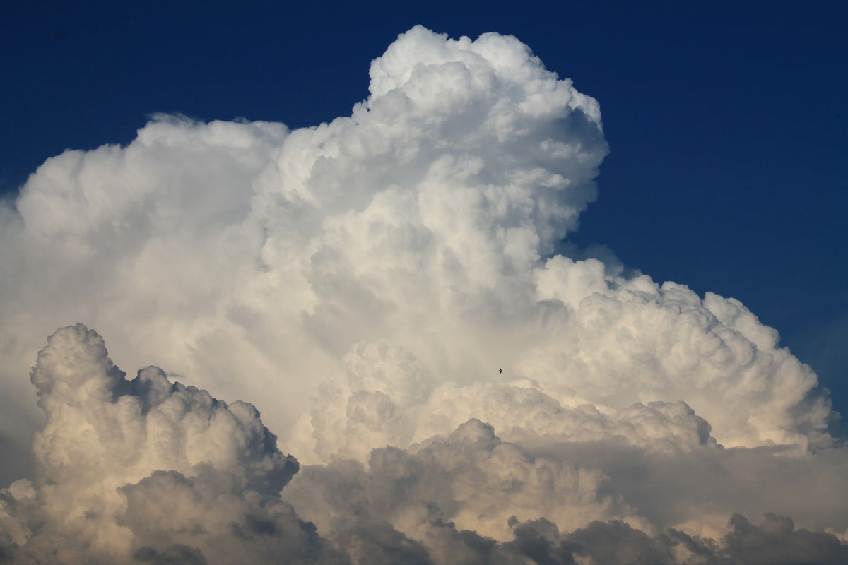 framedposter-print-the-cumulus-cloud