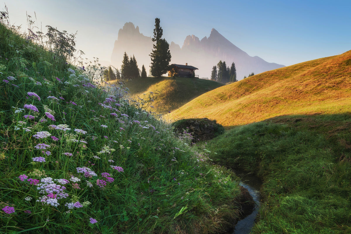 canvas-print-flowery-morning-x