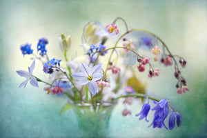framedposter-print-spring-treasures-x