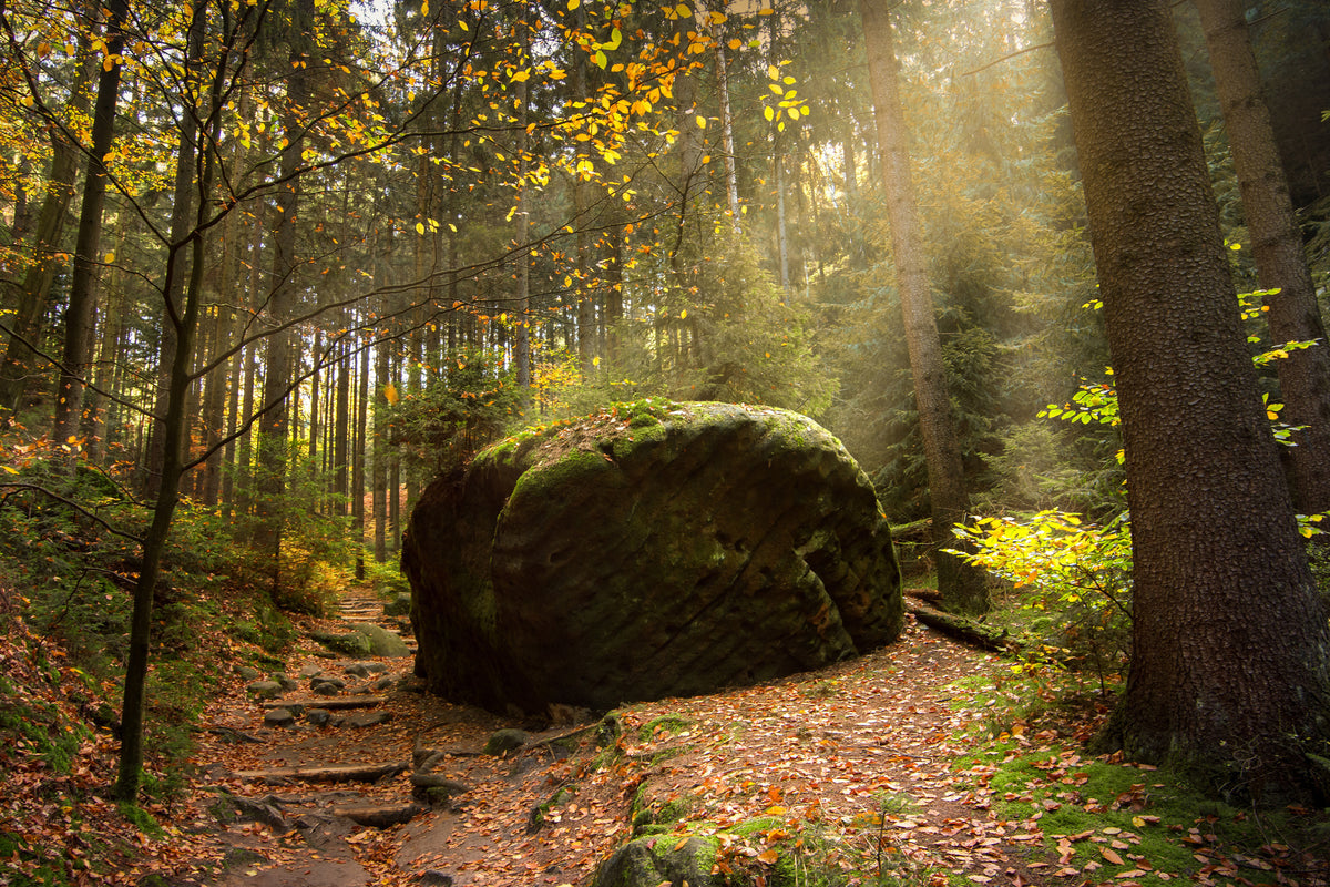 3-piece-acrylic-print-the-rock-in-the-forest