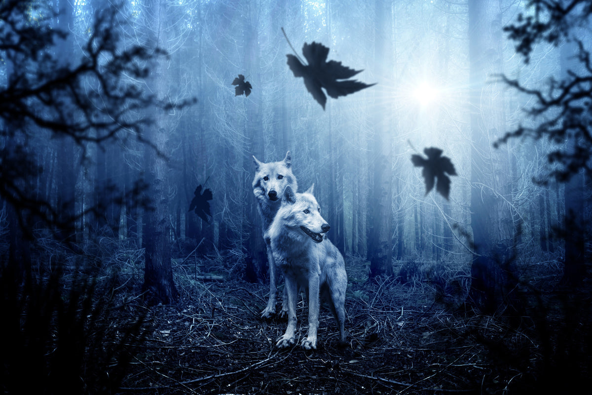modern-3-piece-canvas-print-wolf39s-couple
