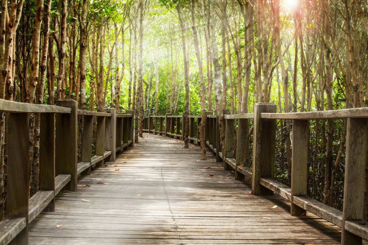 poster-print-wooden-bridge