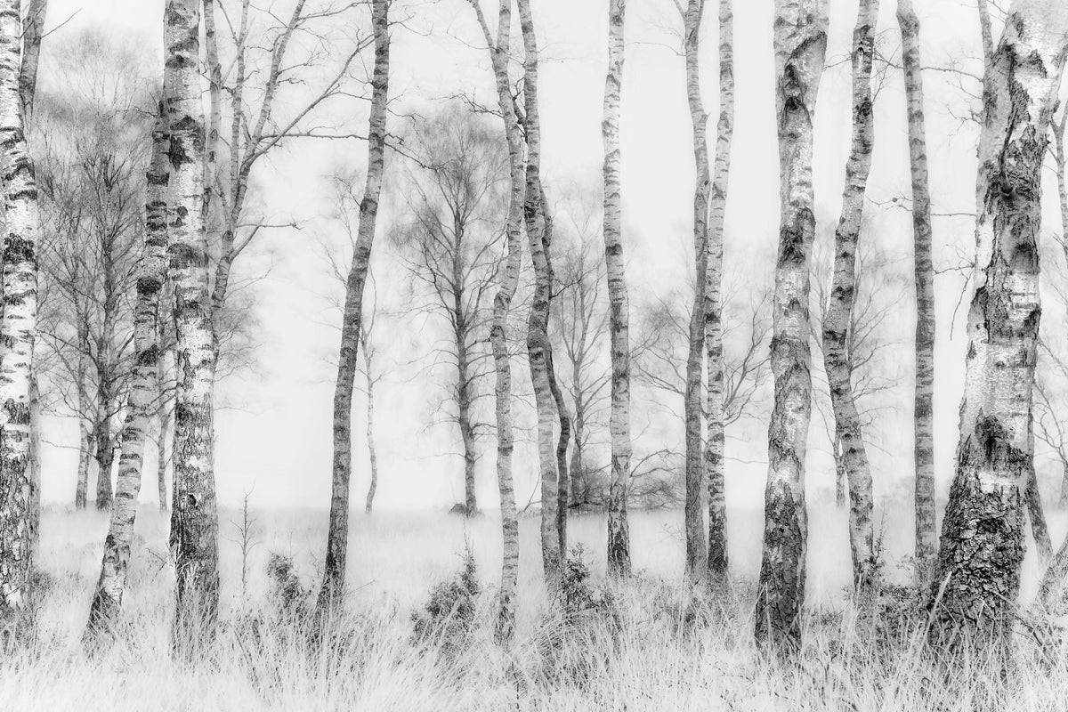 modern-3-piece-acrylic-print-black-and-white