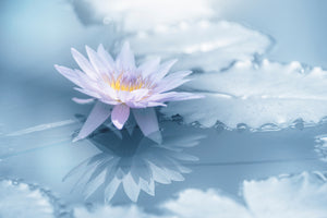 acrylic-print-reflection-xbu