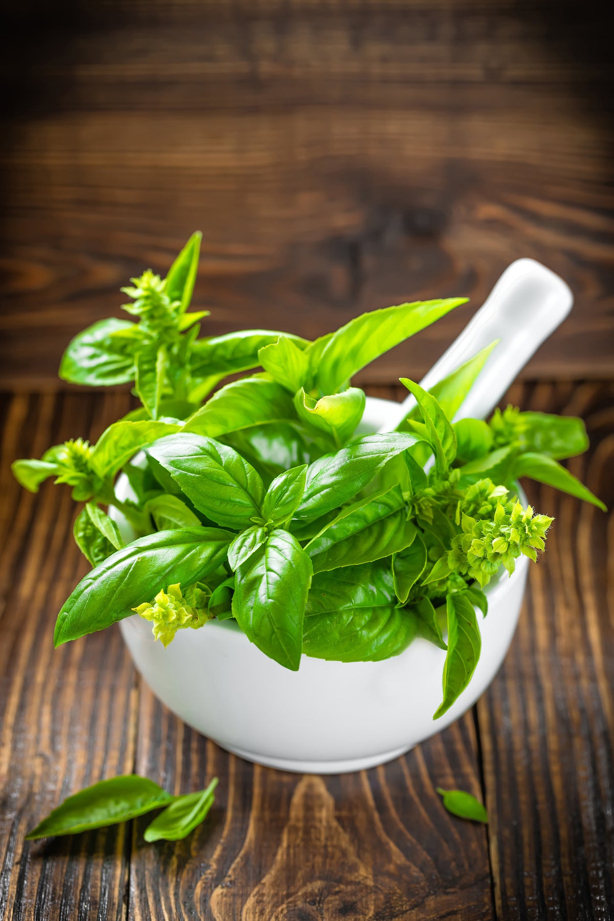 acrylic-print-fresh-basil