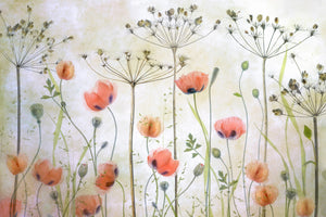 acrylic-print-poppy-meadow-x