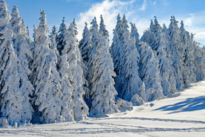 acrylic-print-beautiful-winter-landscape