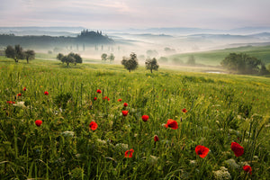 modern-3-piece-acrylic-print-tuscan-spring