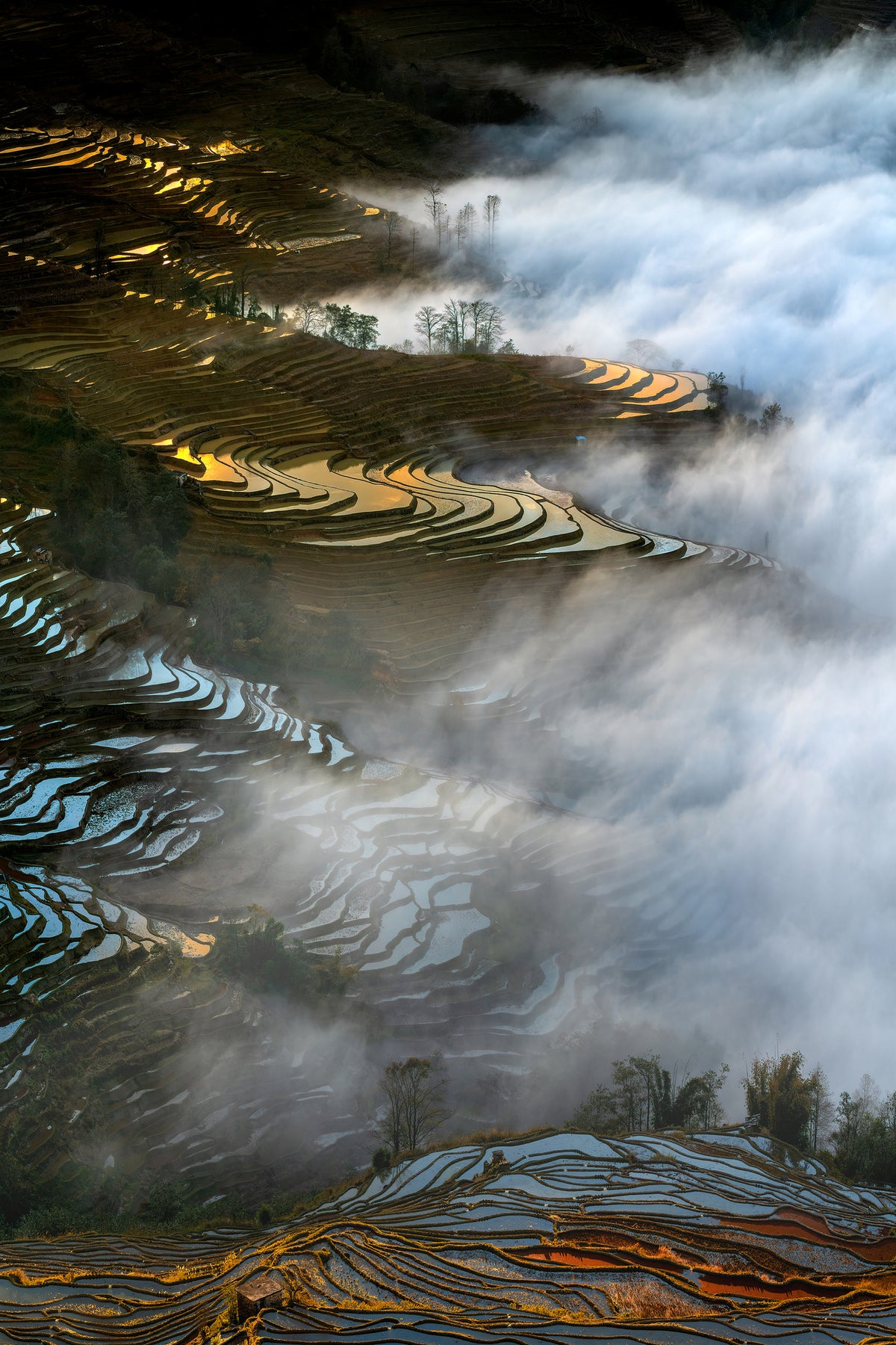 canvas-print-colorful-rice-terraces