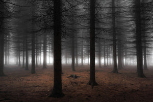 poster-print-silence-ii