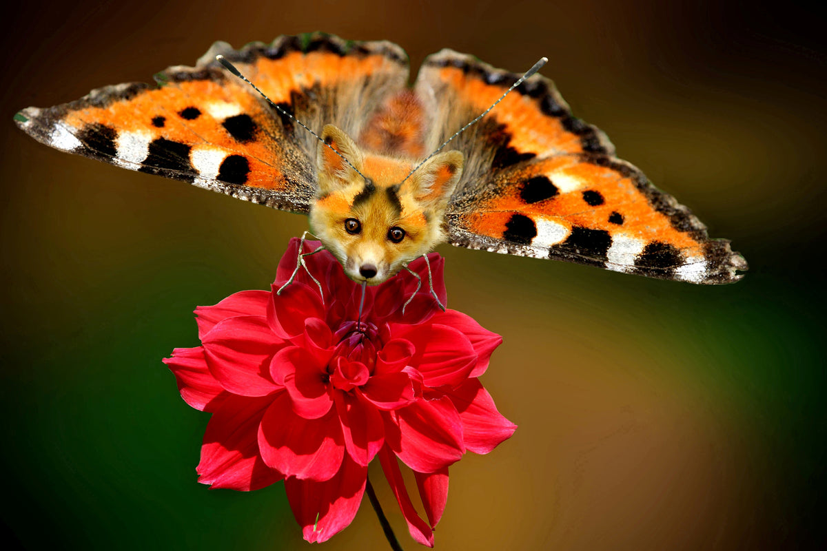 aluminium-print-the-flying-fox
