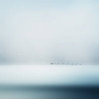 aluminium-print-wild-geese