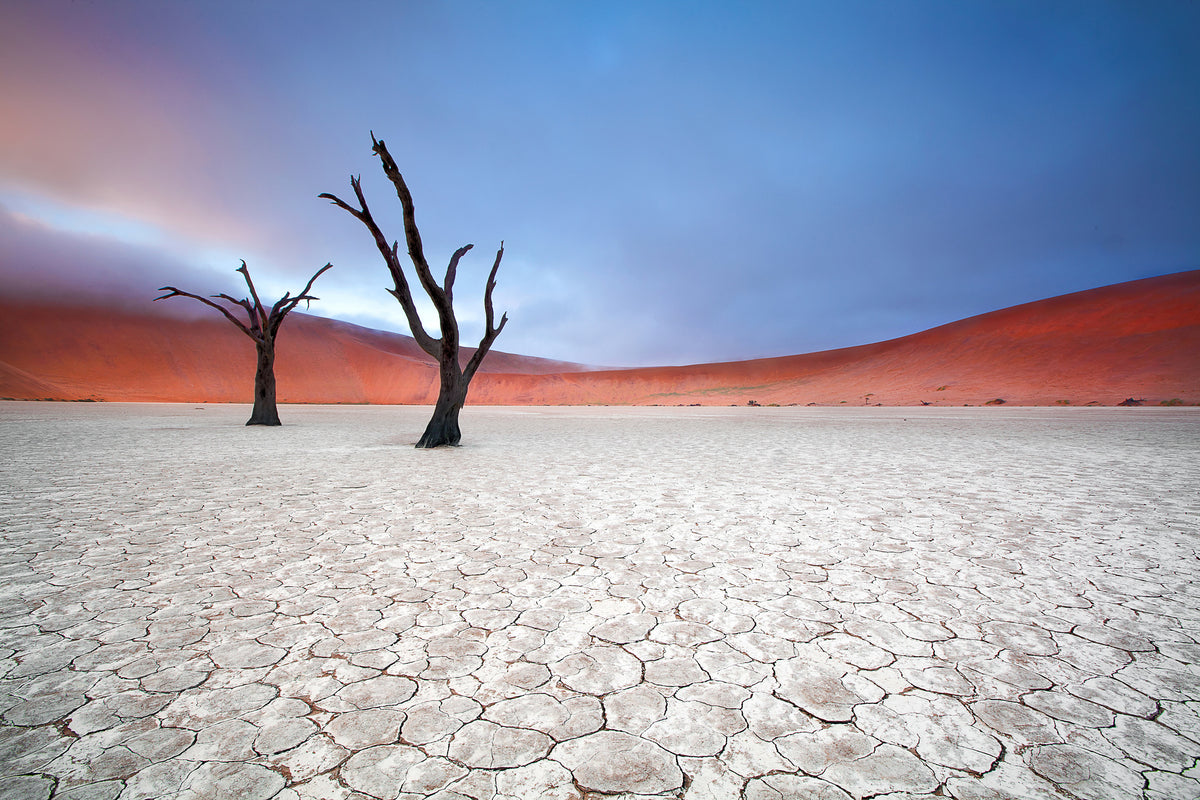 aluminium-print-mist-over-deadvlei-x