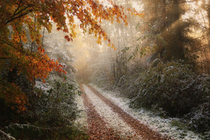 framedcanvas-print-frosty-fall-x