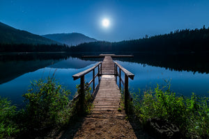 framedposter-print-one-night-at-full-moon