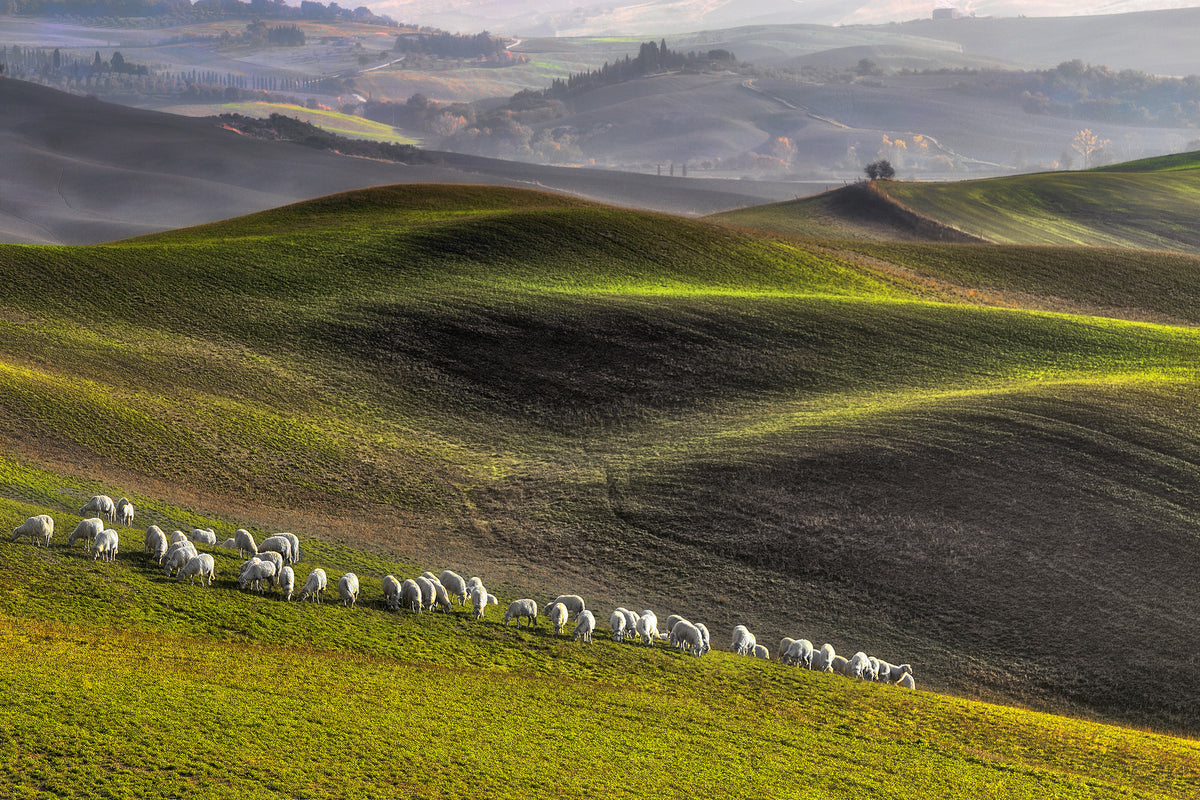 poster-print-pastoral-x