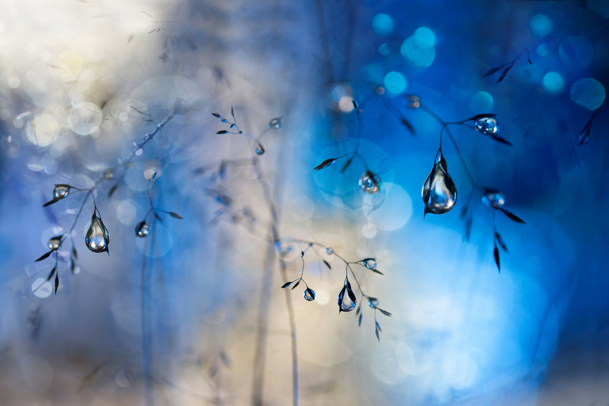 acrylic-print-blue-rain